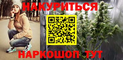 не бодяженный Гатчина