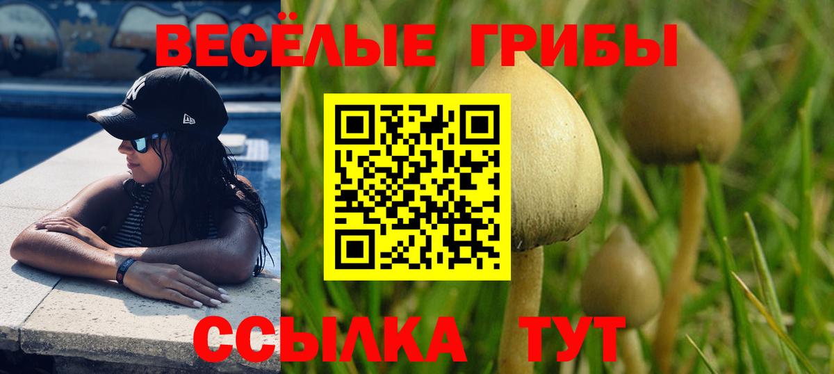 Омск  Псилоцибиновые грибы мицелий  Вход с VPN 